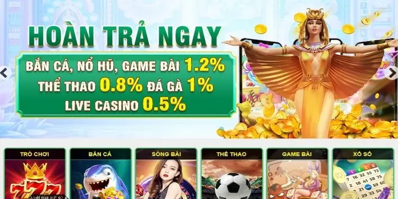 Nâng Cấp Trải Nghiệm Nền Tảng Với Công Nghệ Hiện Đại